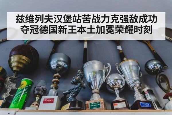 兹维列夫汉堡站苦战力克强敌成功夺冠德国新王本土加冕荣耀时刻